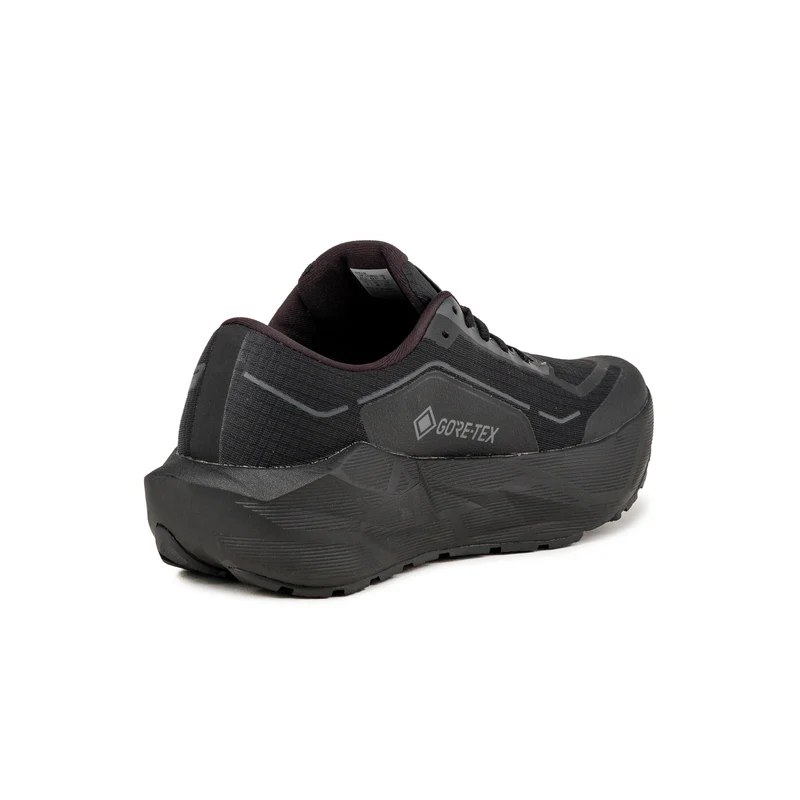 Asics Novablast 6 GTX