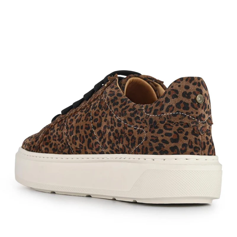 Astra Leather Trainers - ASTRA / 328 533 - Leopard